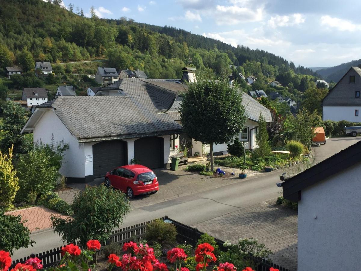 Fewo Jaeger Willingen  Buitenkant foto
