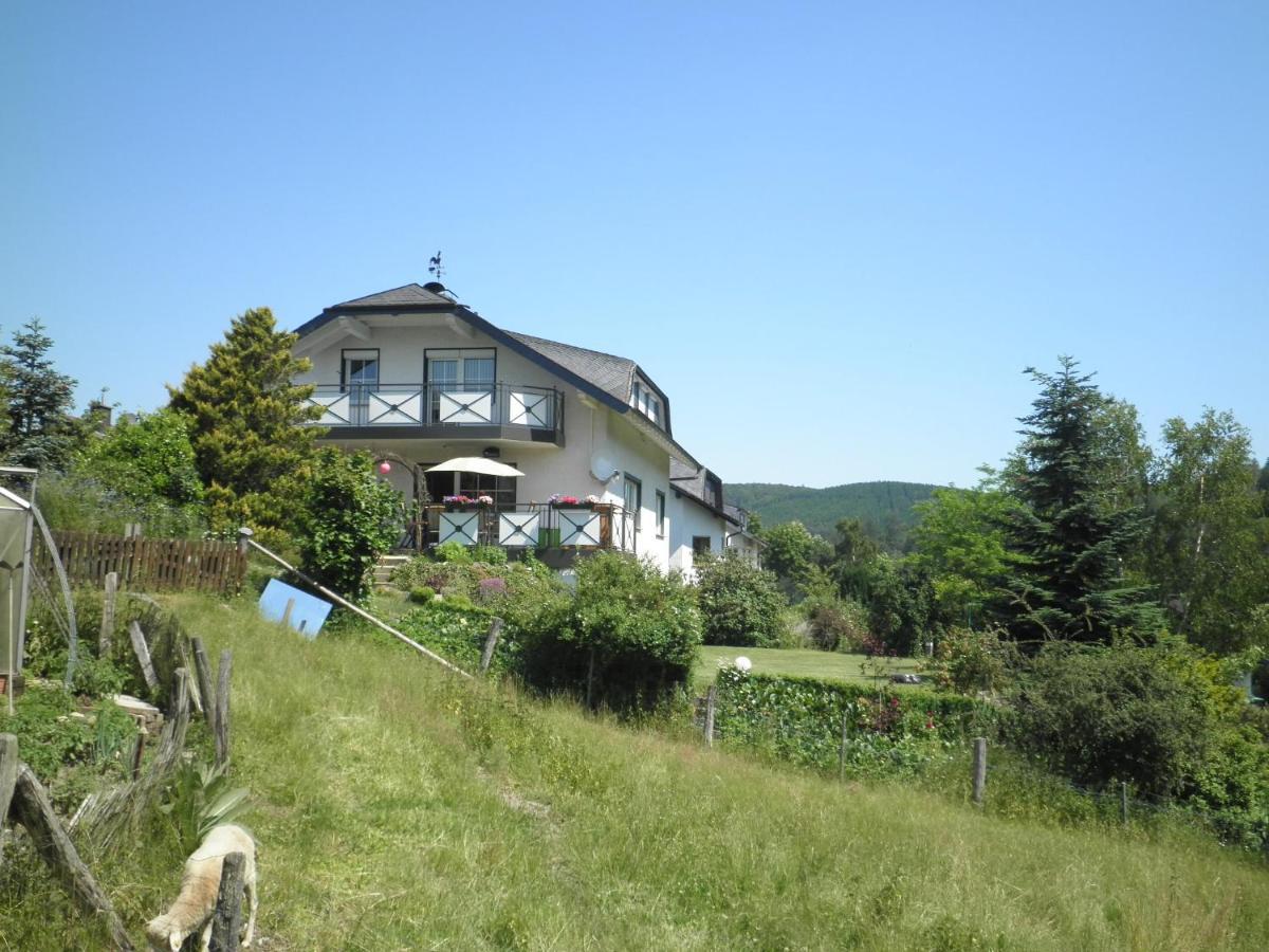 Fewo Jaeger Willingen  Buitenkant foto