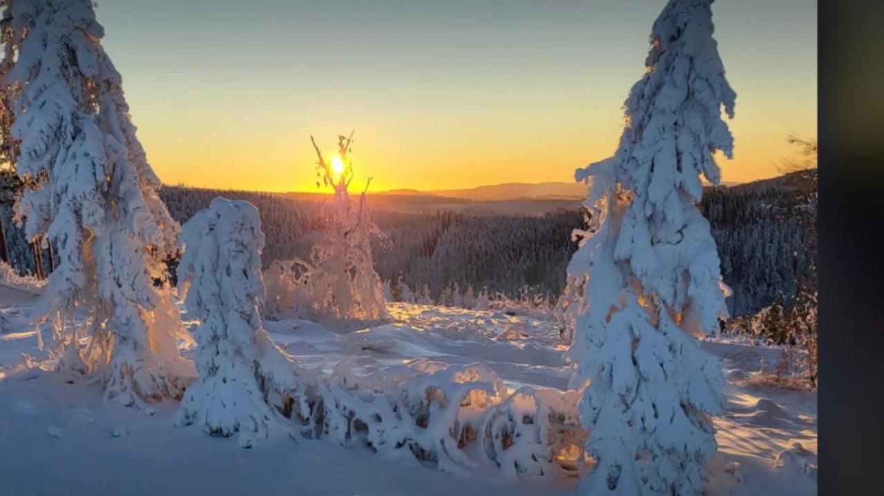 Fewo Jaeger Willingen  Buitenkant foto