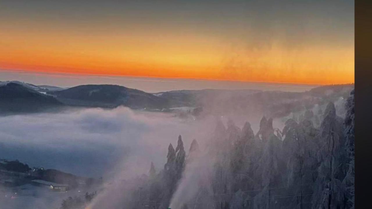Fewo Jaeger Willingen  Buitenkant foto