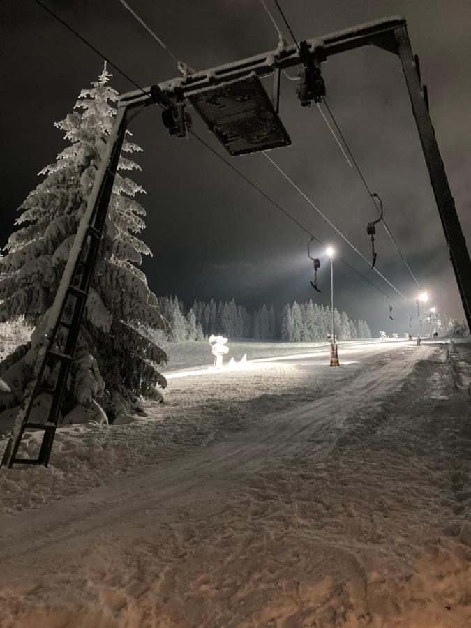 Fewo Jaeger Willingen  Buitenkant foto