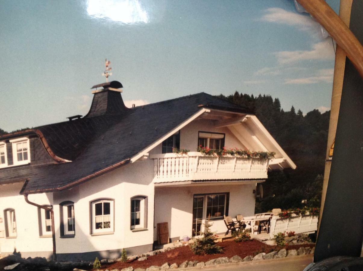 Fewo Jaeger Willingen  Buitenkant foto
